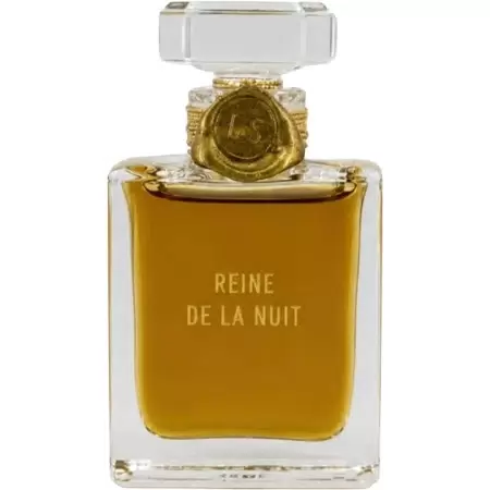 Laurent Smal Reine de la Nuit