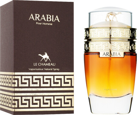 arabia pour homme le chameau