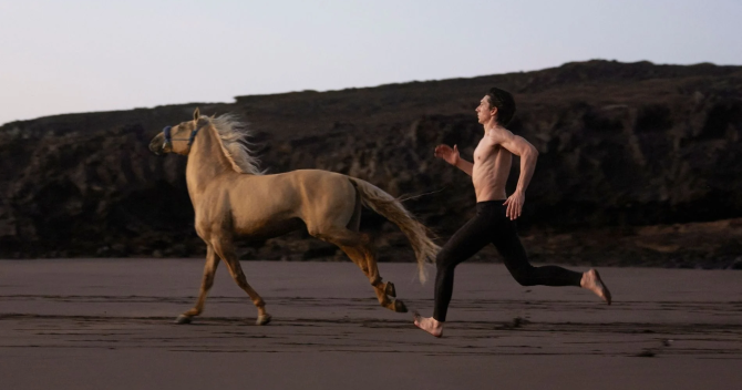 Антигерой: почему Burberry Hero нельзя назвать оригинальным ароматом