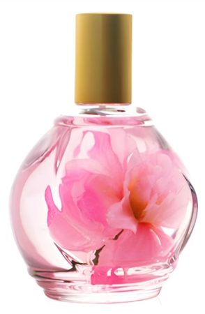 Le Parfumoir de Grasse / Guy Bouchara Parfum d'Ambiance Rose