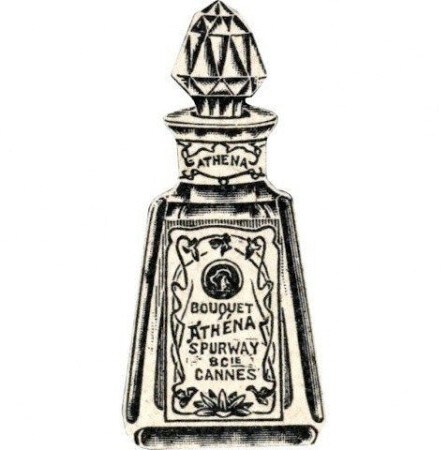 Marcus Spurway Athéna
