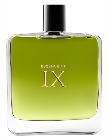 Strange Invisible Perfumes Essence of IX