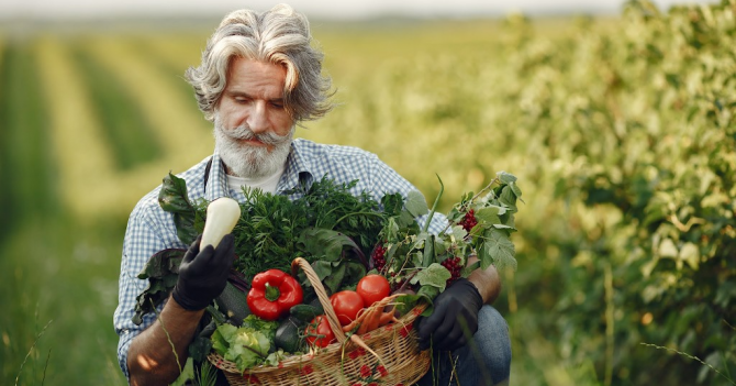 Symrise разработали 5 новых парфюмерных ингредиентов