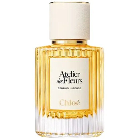 Chloé Cedrus Intense