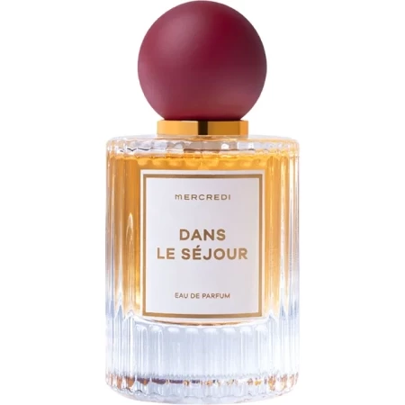 Mercredi Dans le Séjour