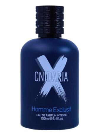 Samam Cnidaria X Homme Exclusif