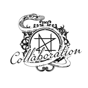 NOZ Collaboration