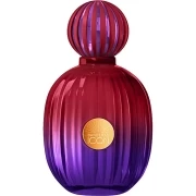 The Icon Elixir for Women