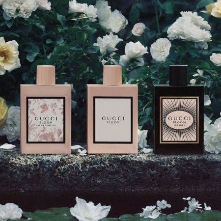 Gucci hotsell bloom intense