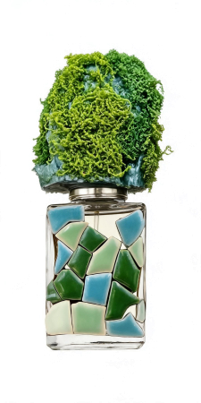 Permabotanica Anethum