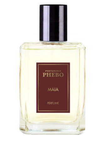 Phebo Maia