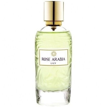 Rose Arabia Lily