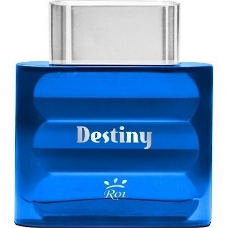 Roi Destiny pour Homme