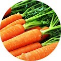 Морковь