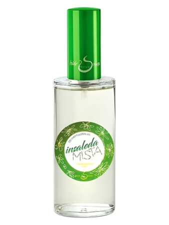 Hilde Soliani Insaleda Mista