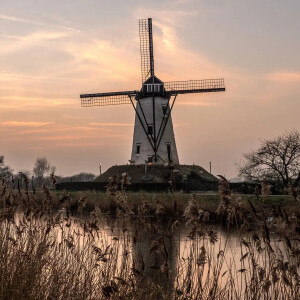 Van de Zotte воздают дань предкам в новом аромате Polder