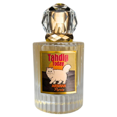 Arshan Persia Tahdig Today