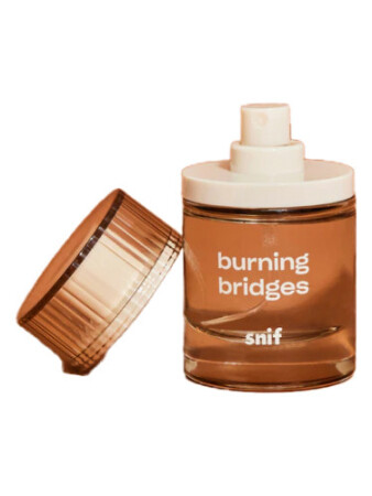Snif Burning Bridges