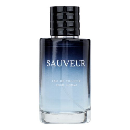 Новая Заря Sauveur
