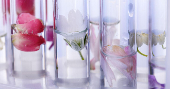 Изготовление настоянных масел