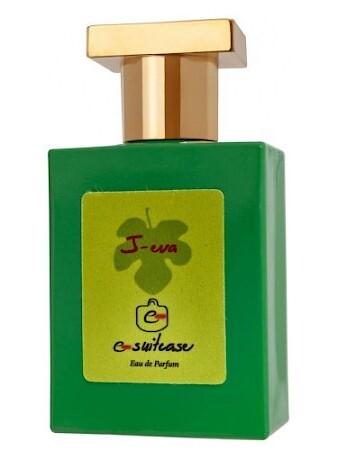 E-Suitcase J-eva
