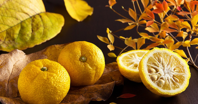 Firmenich назвали ароматы 2021 года — ими стали юзу и имбирь