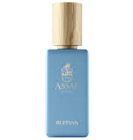 Assaf Ruffian Blue