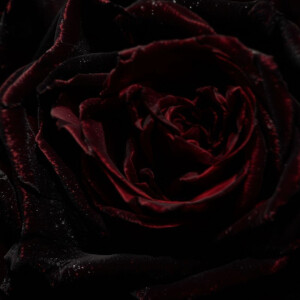 Эстетика декаданса. Tom Ford Oud Fleur.