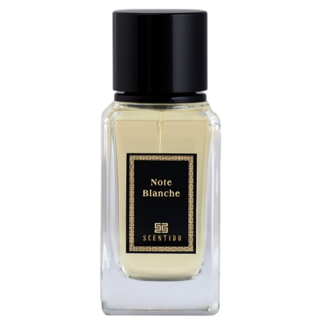 Scentido Note Blanche