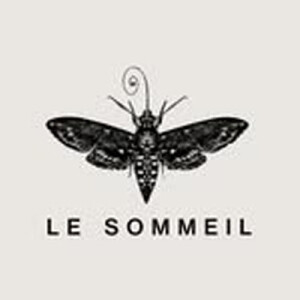 Le Sommeil