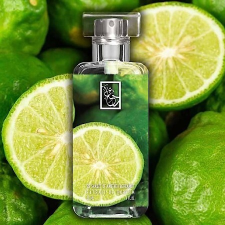 The Dua Brand 25 Shades of Another Bergamot