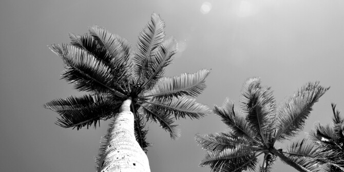 Идеальный летний день: новый аромат Muse от Andrea Maack