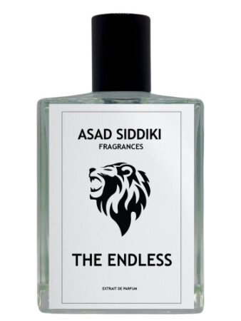 Asad Siddiki The Endless
