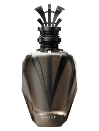 Gris Montaigne Cesar