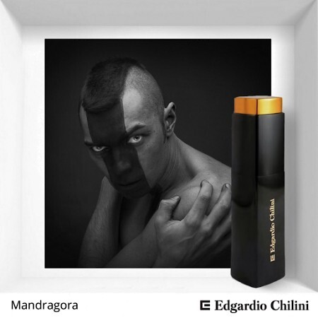 Edgardio Chilini Mandragora