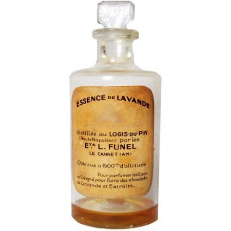 Funel Essence de Lavande