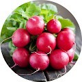Редис