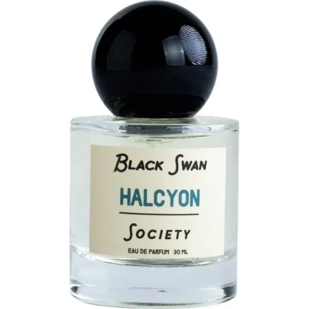 Black Swan Society Halcyon