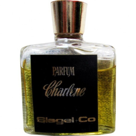 Siegel + Co Charlene