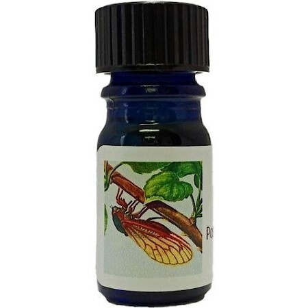 Possets Perfume Cicada