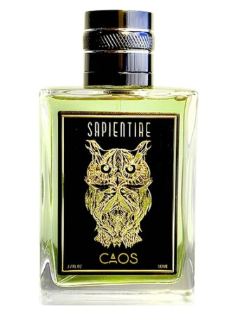 Sapientiae Niche Caos