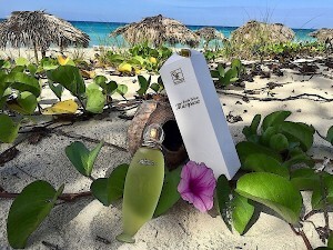 Suchel Camacho Mariposa нежный символ Кубы