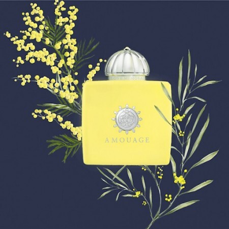 Amouage Love Mimosa