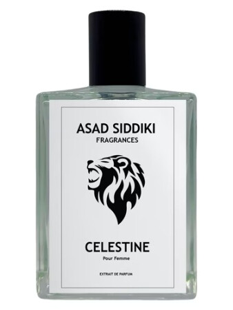 Asad Siddiki Celestine