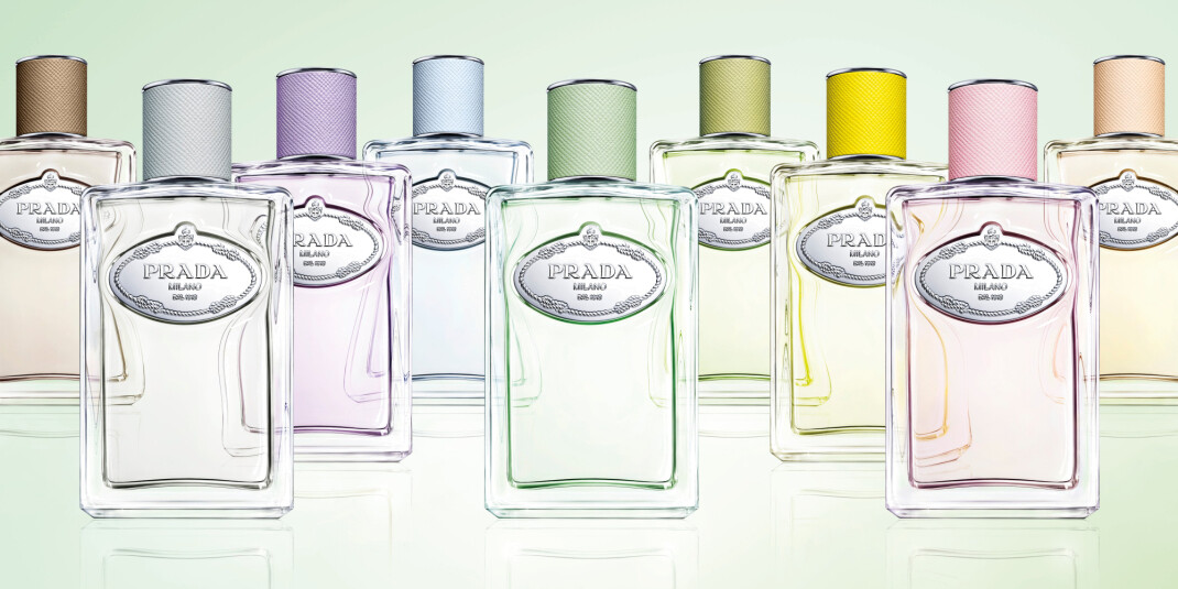 Prada infusions on sale