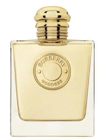 Burberry brit primor best sale