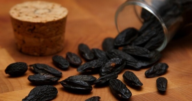 Кумарин — незаменим и опасен