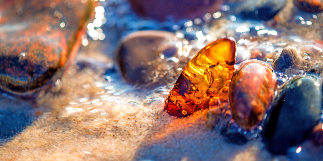 Балтийский берег: D.S. &amp; Durga выпустили 40 Million Year Old Amber