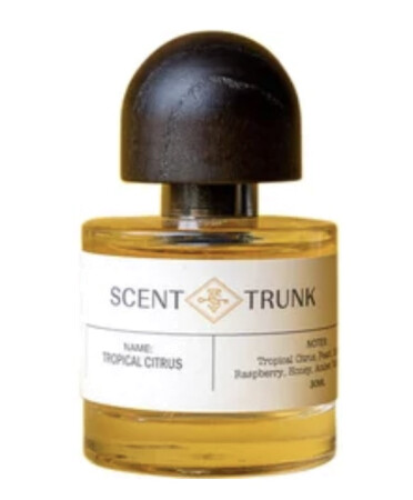 Scent Trunk Tropical Citrus