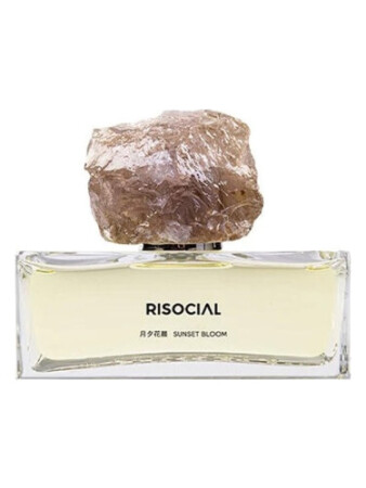 Risocial Sunset Bloom
